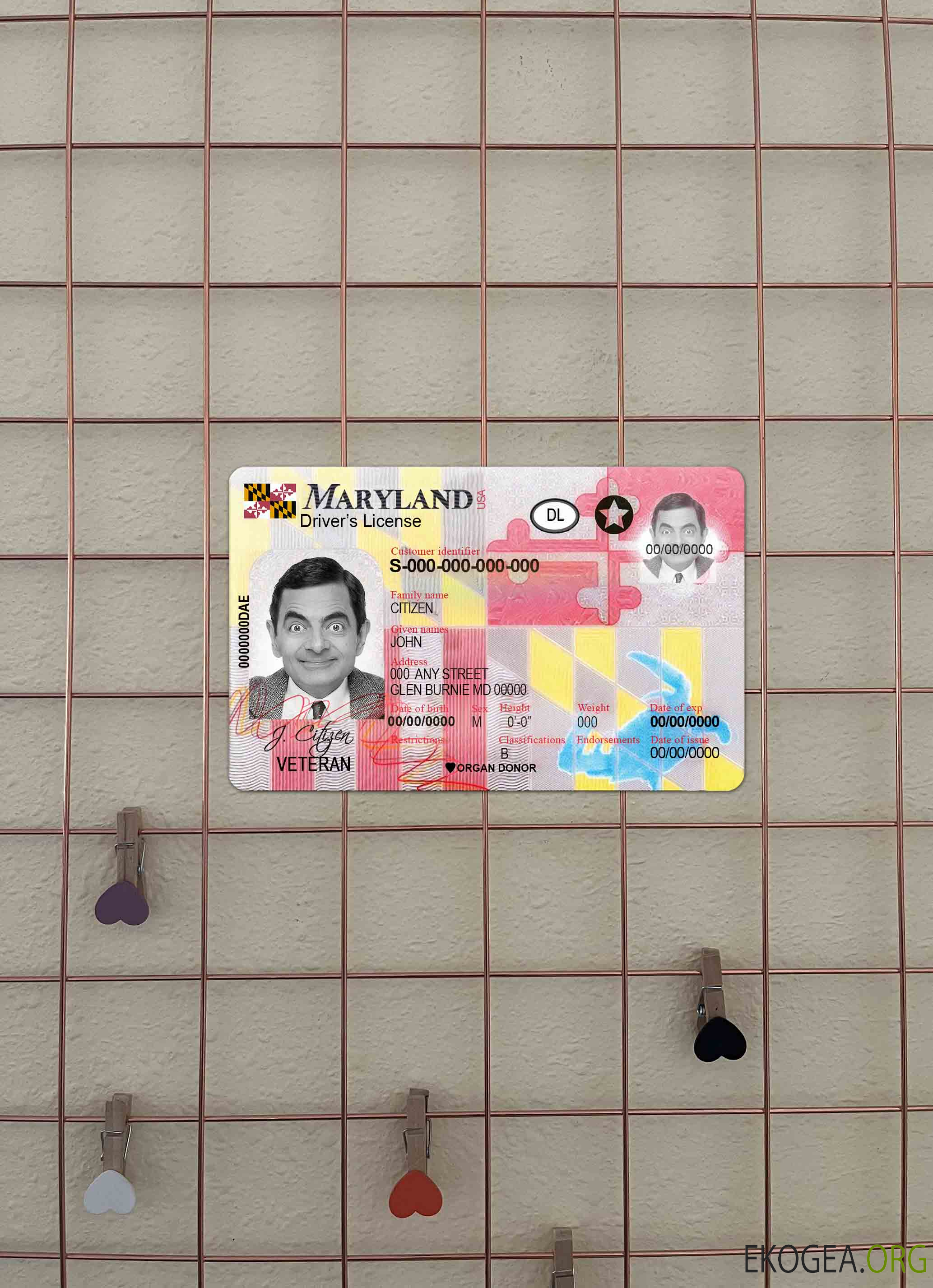 USA Maryland DL 2016   présent photolook AVANT